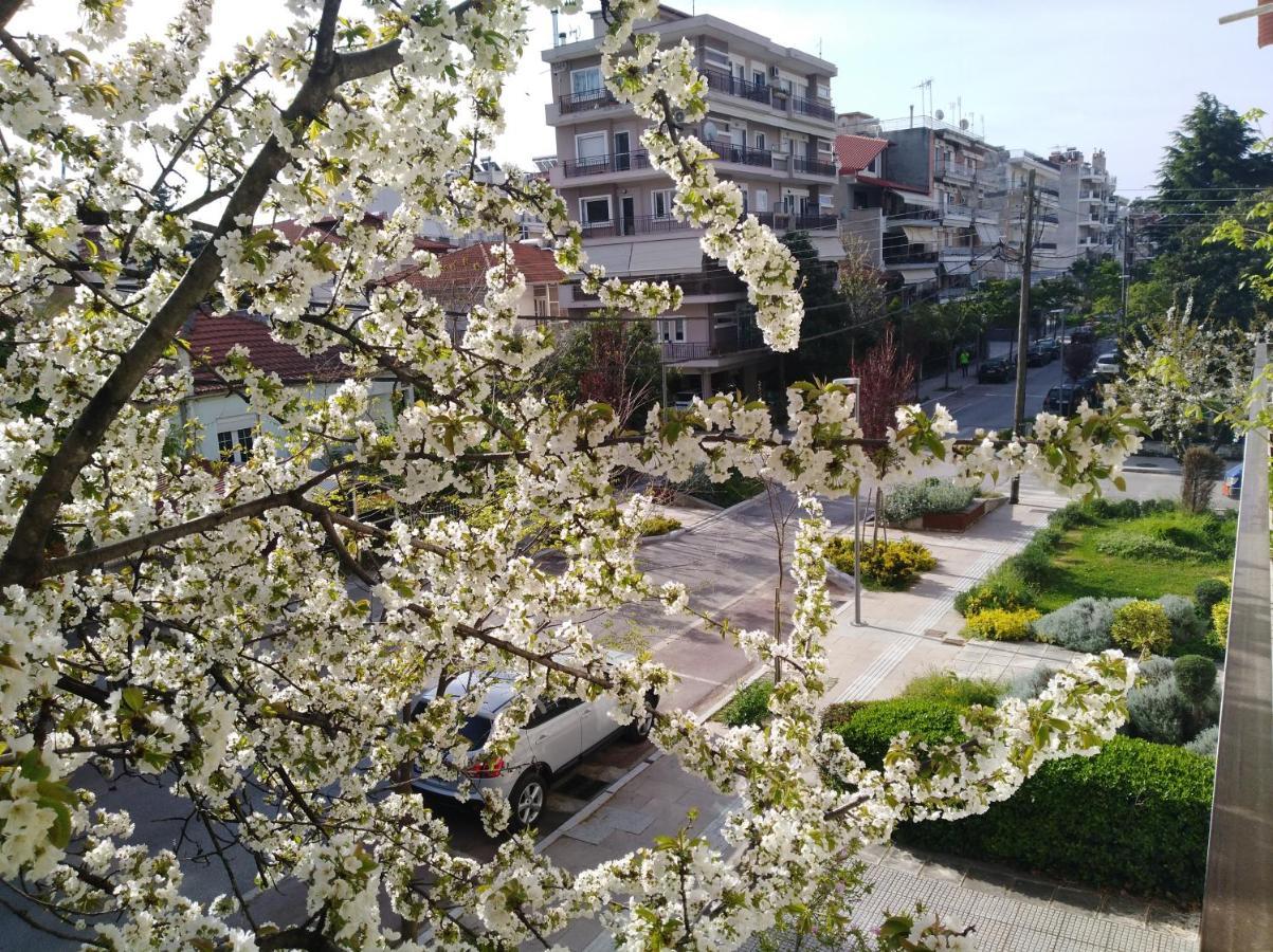 Olympia Hotel Едеса Екстериор снимка
